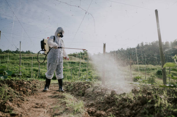 Best Pest Control Treatment  in Old Town, ME