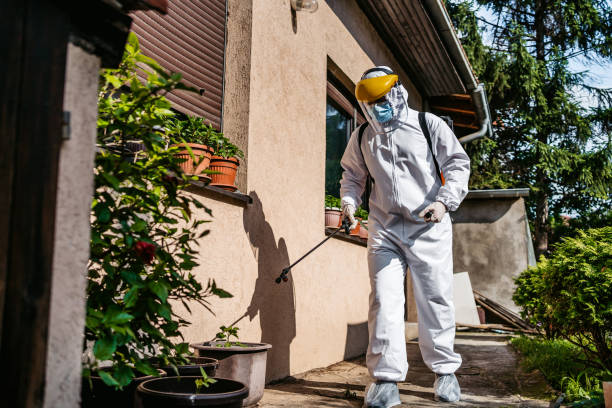 Best Pest Control for Homes  in Old Town, ME