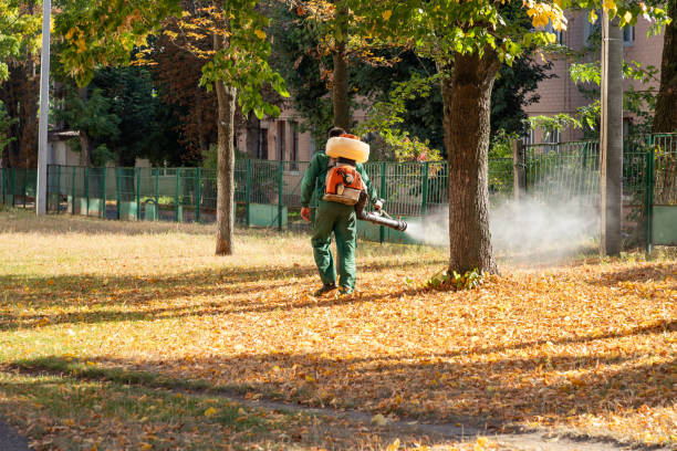 Best Insect Control  in Old Town, ME