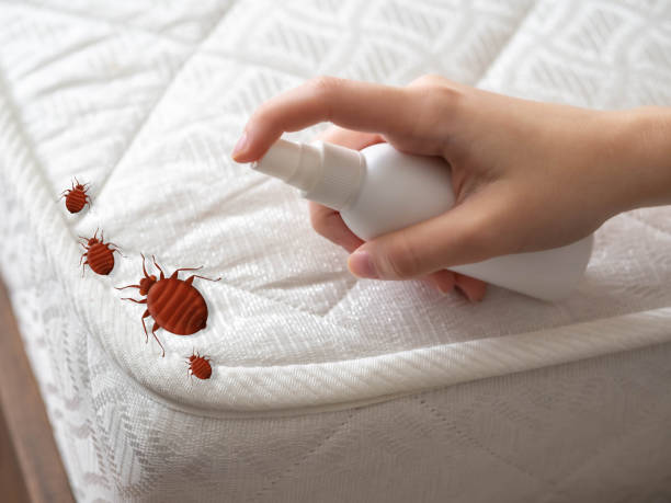Pest Prevention Services in Old Town, ME